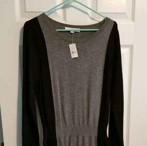 Loft sweater dress